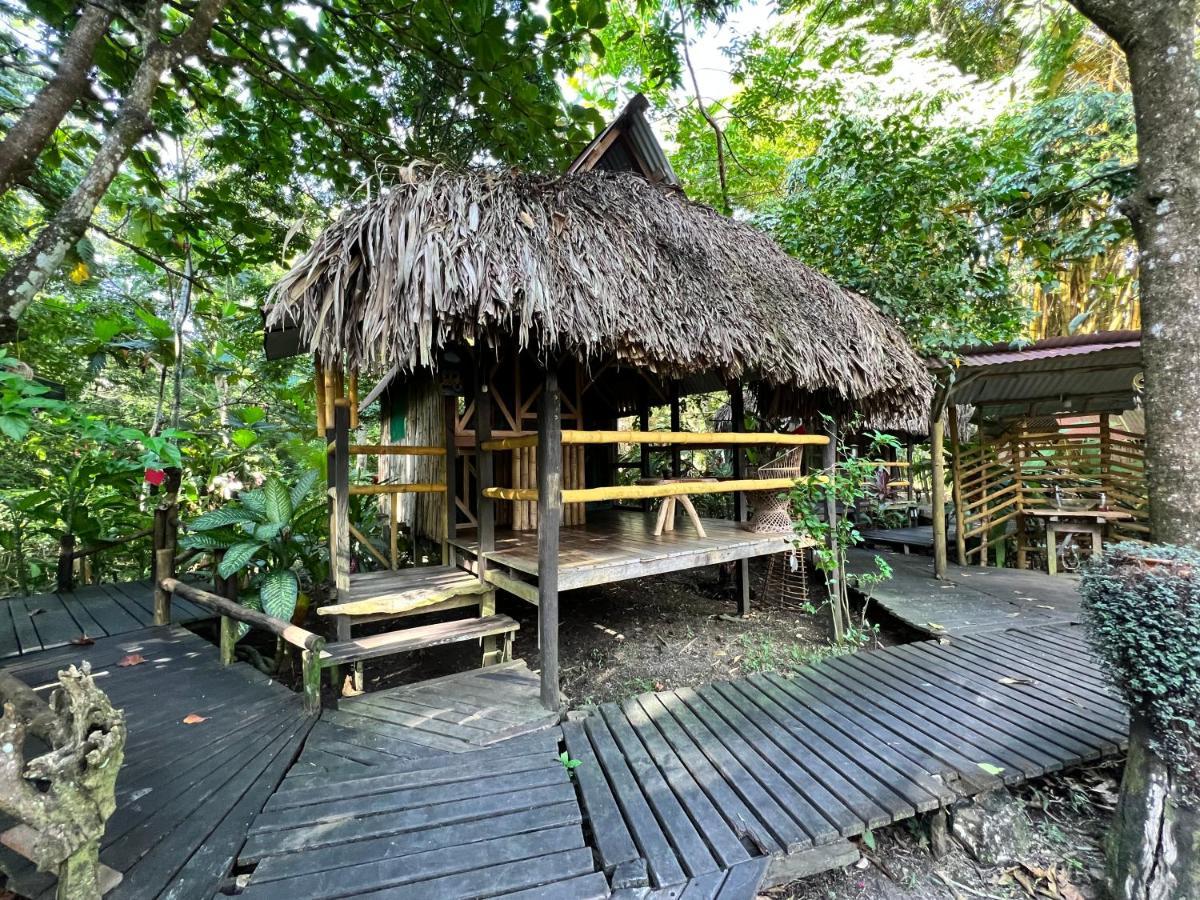 Cabanas Bambutan Palenque Exterior photo
