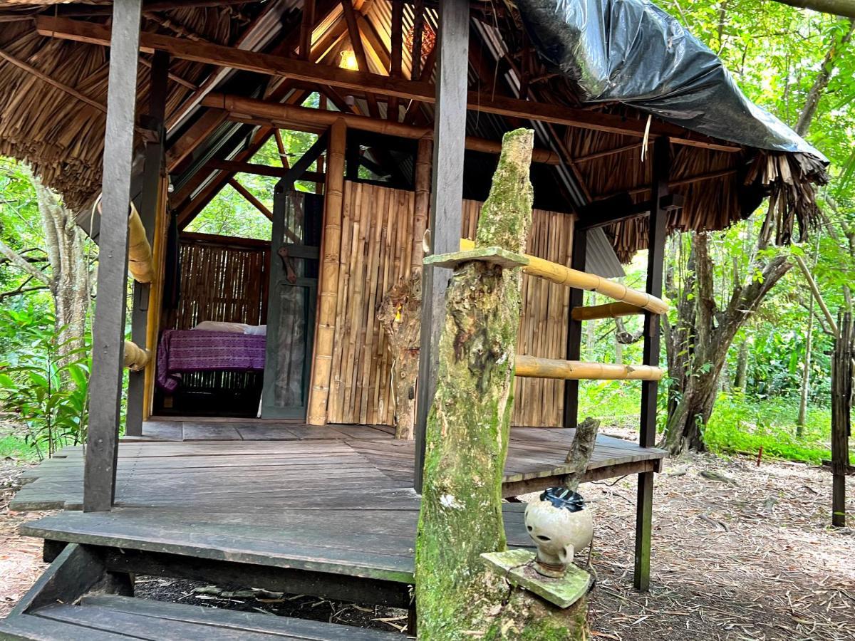 Cabanas Bambutan Palenque Exterior photo
