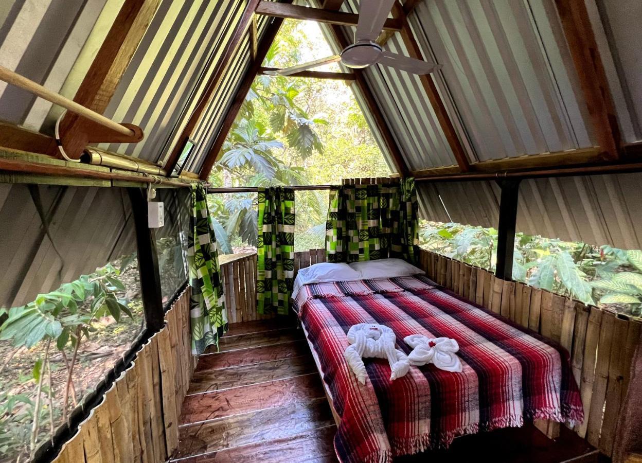 Cabanas Bambutan Palenque Exterior photo